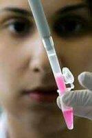 - Biologie, mathématiques, économie' : 20 rencontres scientifiques à ne pas rater - Biologie, mathématiques, économie' : 20 rencontres scientifiques à ne pas rater