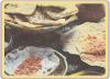 16 - Tourte doubl�e � la mode d�Alger 