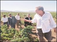  - Depardieu l�che ses investissements � Tlemcen