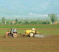 - Mise en valeur des terres dans la zone de Fetzara : Des chiffres et des déceptions - Mise en valeur des terres dans la zone de Fetzara : Des chiffres et des déceptions