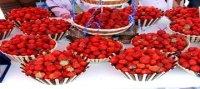 Skikda s'appr�te � c�l�brer sa traditionnelle f�te de la fraise