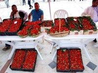 La ville de Skikda se pare de vermeil pour la f�te de la fraise