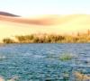Ouargla Bain de sable � Hassi Benabadallah