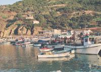 Chlef