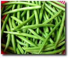  - Canap�s aux haricots verts