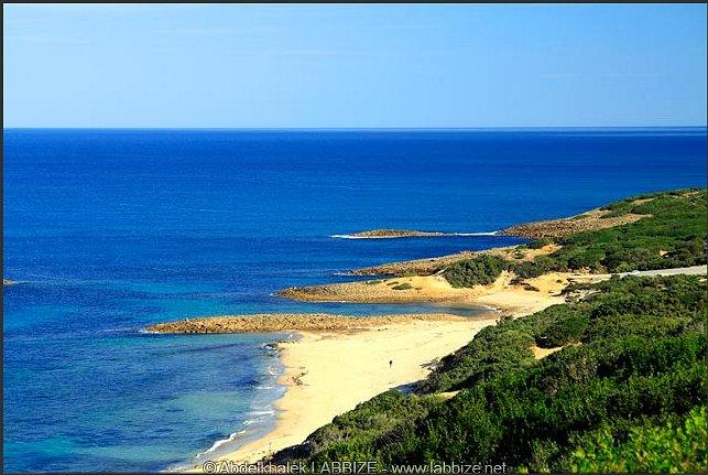El-Taref - La plage Messida, El Tar�f