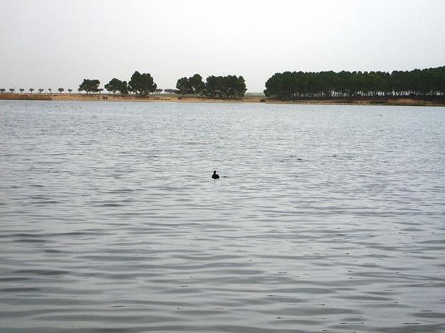 Sidi-Belabbes - Le lac Sidi Mohamed Benali, Sidi Belabb�s