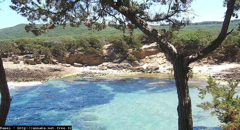 El-Taref - Une crique sur le littoral de Messida, El Tar�f