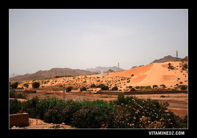  - Oued Chaabet Eddefla, Marabout de Sidi Maamar Benaliya