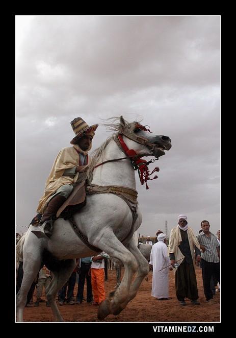 - Tr�s belle monture � la waada de Sidi Chikh