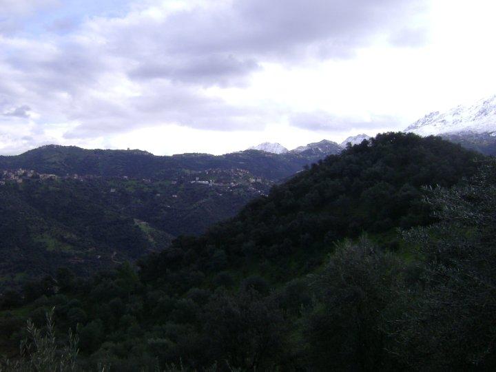 la forie de la kabylie