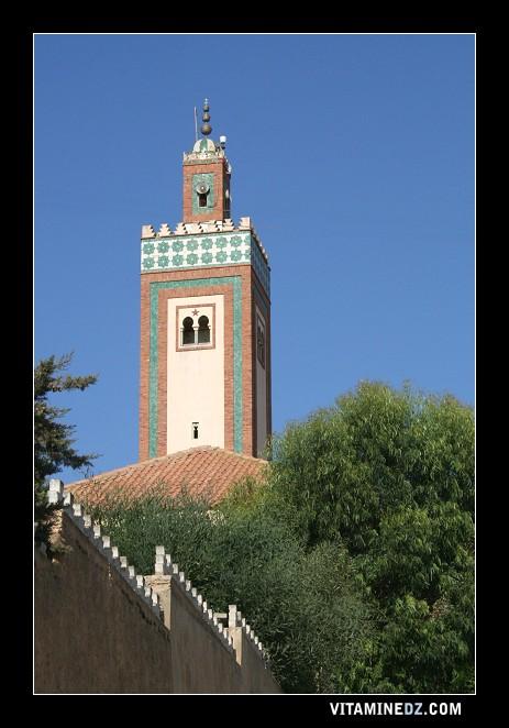 Mostaganem - Mosqu�e du Cheikh El Alaoui