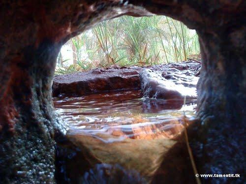 Irrigation d'une Oasis � Tamantit (Wilaya d'Adrar)