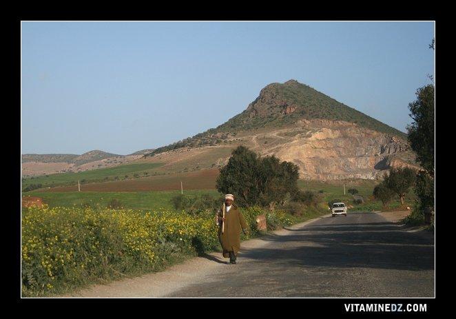 صورة لجبل 
