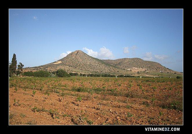 صورة من جبل 