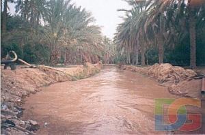 أودية الري بواحات أولاد جلال