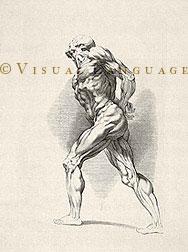 cabinet de kinésithérapie et rééducation fonctionnelle