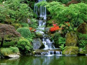 ouvertire d'un bureau d'etudes ,conseils et expertise agricole