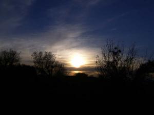 www-ain-tellout-info