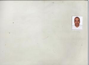 Responsable Commercial zone Export / Europe de l'Est, Europe Centrale ;  Afrique du nord .