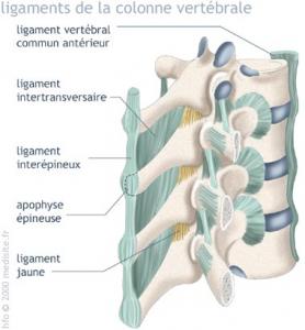 Avis d\'Ouverture du cabinet médical ORTHOPEDIE : Dr KEROUAZ AMMAR, Ancien médecin chef Orthopédie hôpital Dr OKBI W. Guelma.