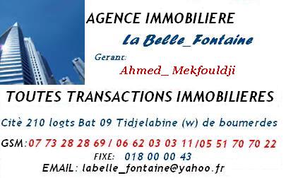 vente terrain,appartement,villa; toutes  bien  immobiliere  w de  boumerdes