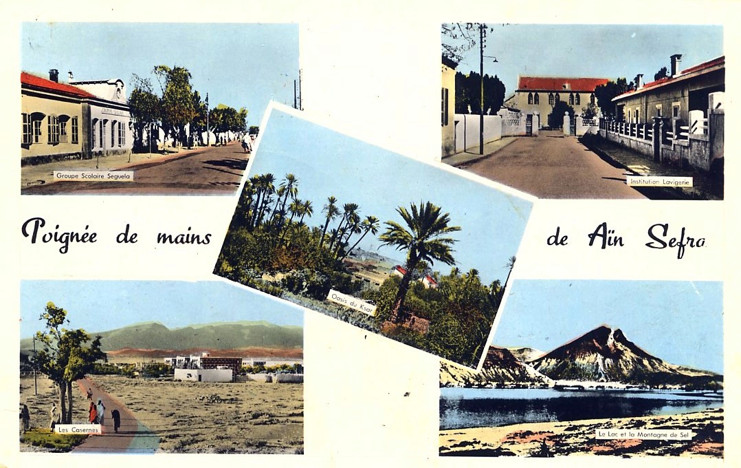 collections des timbres