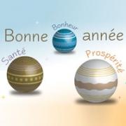bonne année 2011