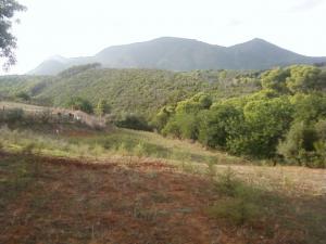 vent terrain agricole sidi rached