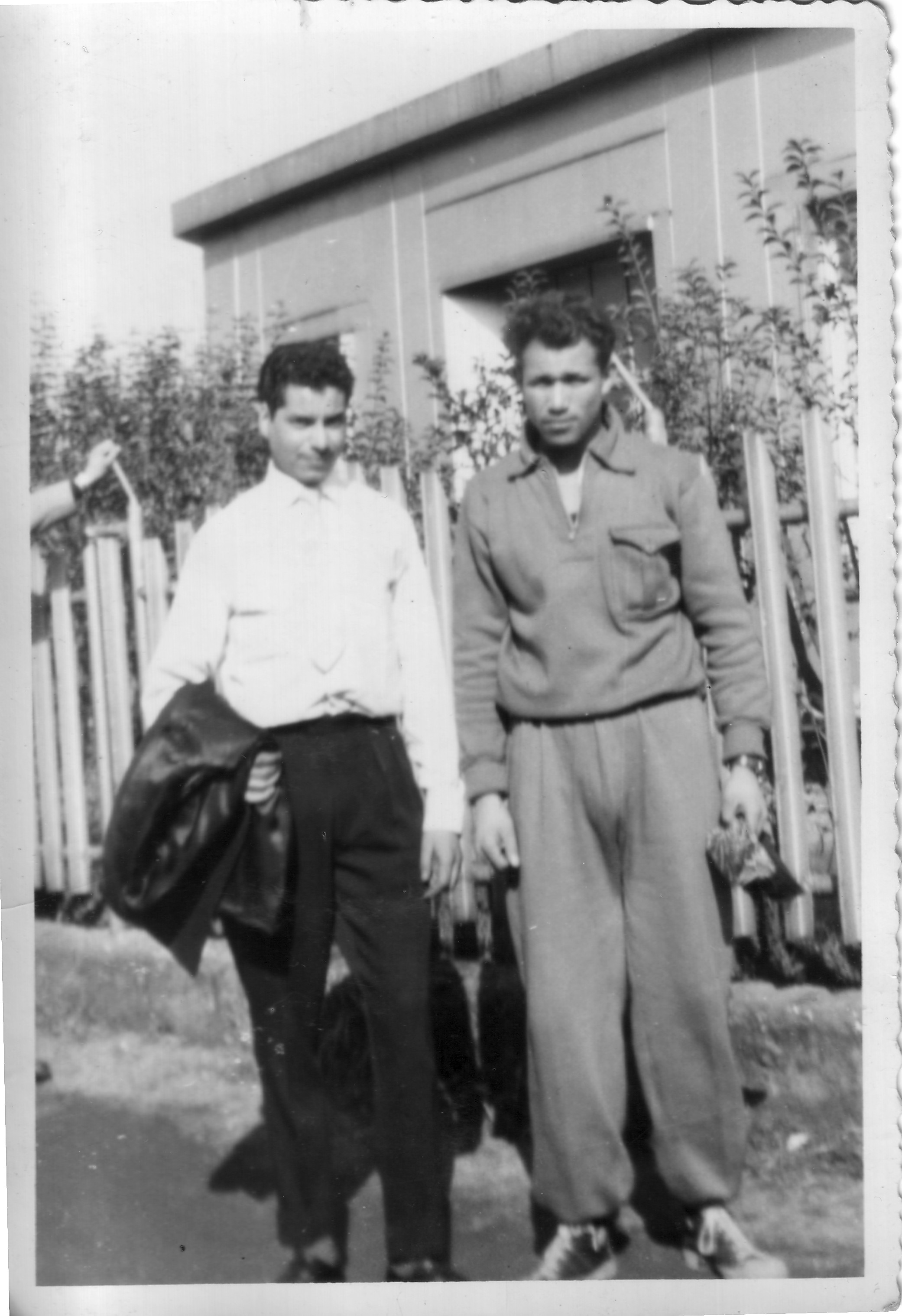 JE RECHERCHE MON FRERE