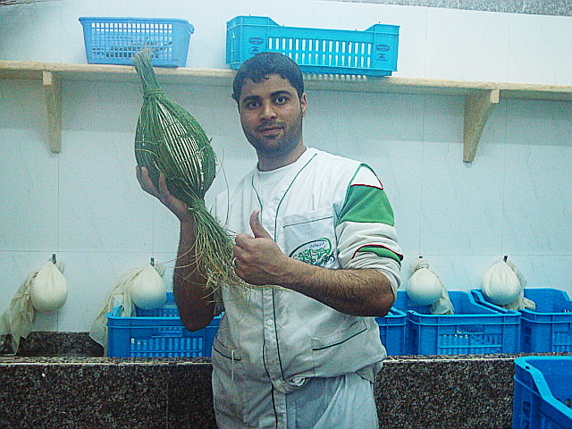 تقاليد بوسعادة في الاجبان والالبان