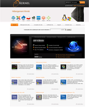 Solutions d'hébergement professionnel