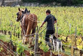 بحث عن نصف الدين