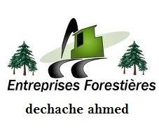 مؤسسة الاشغال الغابية واستغلال الغابات