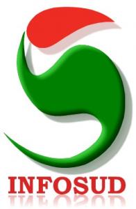 INFOSUD Bureau d'Etudes et de Conseils en Informatique CONSULTING
