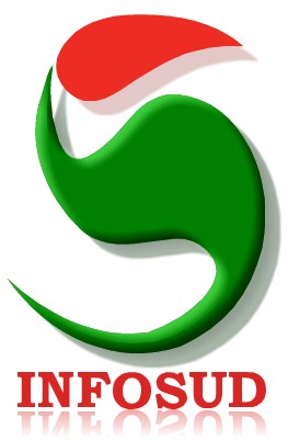INFOSUD Bureau d'Etudes et de Conseils en Informatique CONSULTING