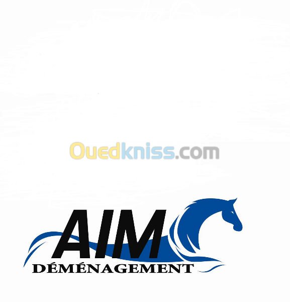 Demanagement AIM INTERNATIONAL MOVERS