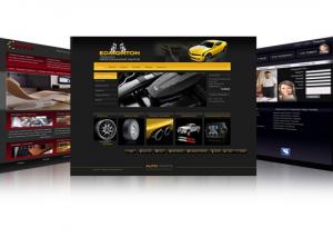 تصميم وهندسة مواقع انترنت WEB DESIGN