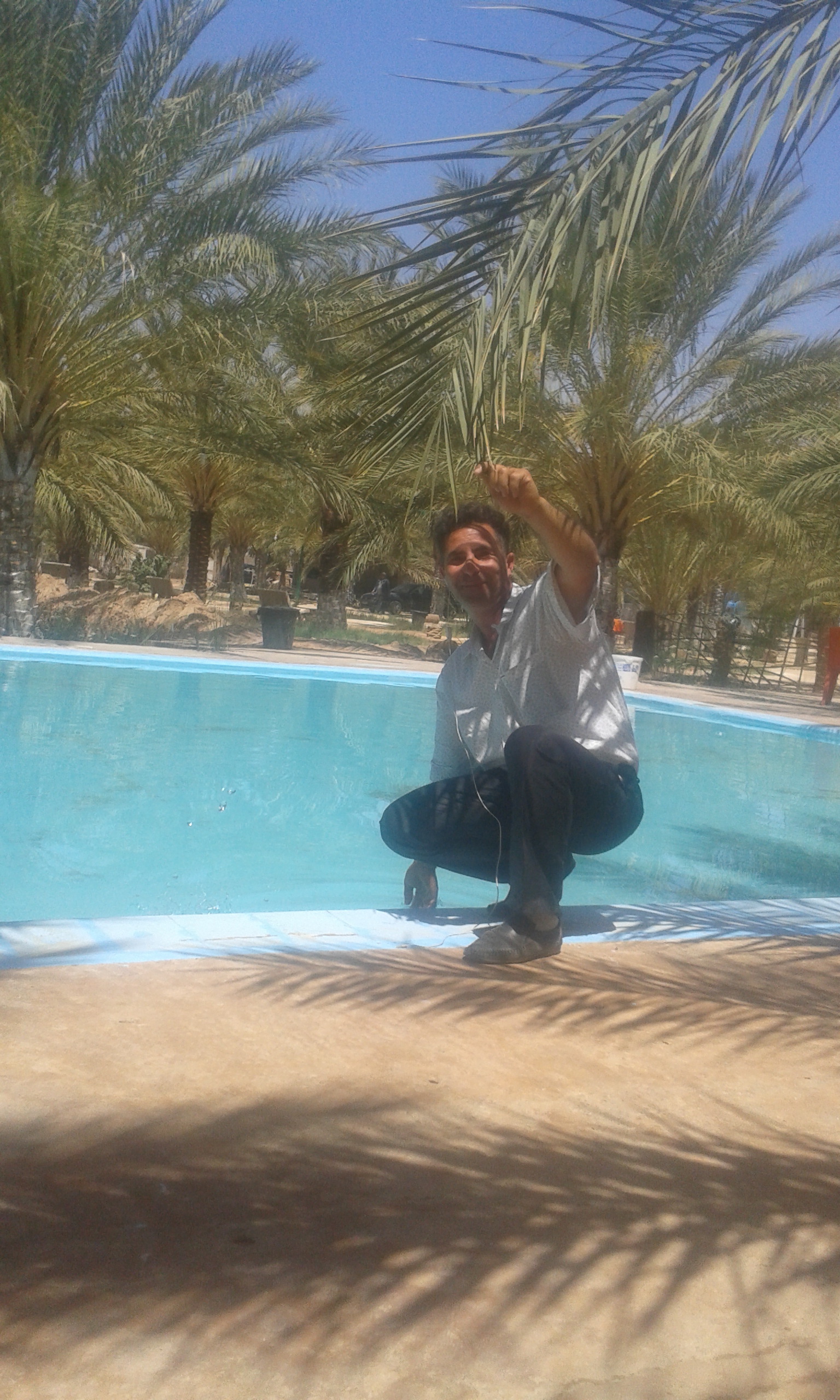 ferme à oumache (w)biskra de 13 hectars