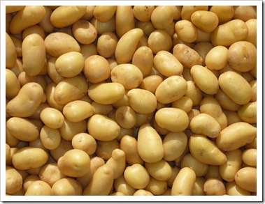 Vente pommes de terre d’excellente qualité