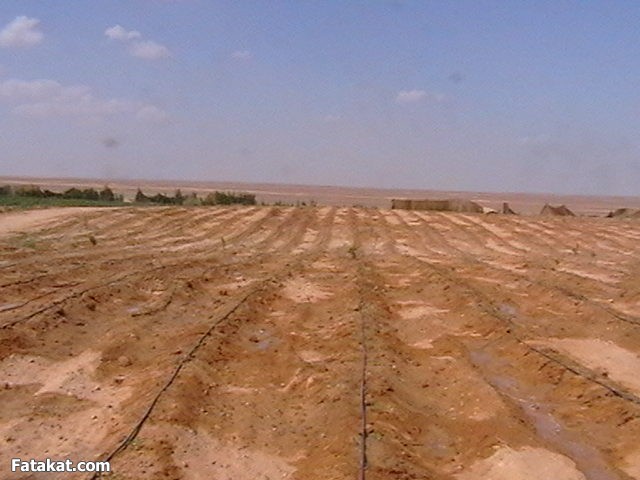 بيع قطعة أرض