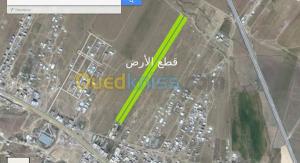 قطع اراضي للبيع بطريق تازولت باتنة بعقد موثق ودفتر عقاري جميع المرافق متوفرة .تبعد ب80 متر عن الطريق الرئيسي في منطقة سكنية بسعر معقول بالنسبة ل5 قطع الاولى