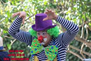 clown sur alger anniversaire