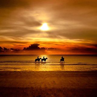 JE CHERCHE L'homme ta3 ma vie