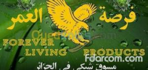 بدء الأعمال التجارية الخاصة بك