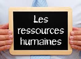 RECHERCHE UN POSTE D'EMPLOI PROFESSIONNEL 'GESTIONNAIRE DES RESSOURCES HUMAINES'