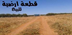 البرج السنوسي