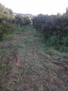 مستثمرة فلاحية بامتياز ذات ارباح للبيع