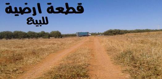 البرج السنوسي