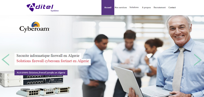 Installation réseaux informatique, Téléphonique et vidéosurveillance en Algerie